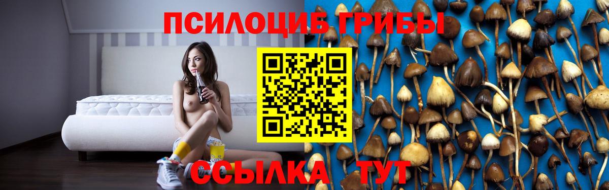 Удомля  Галлюциногенные грибы MAGIC MUSHROOMS  Галлюциногенные грибы MAGIC MUSHROOMS  Вход с VPN 